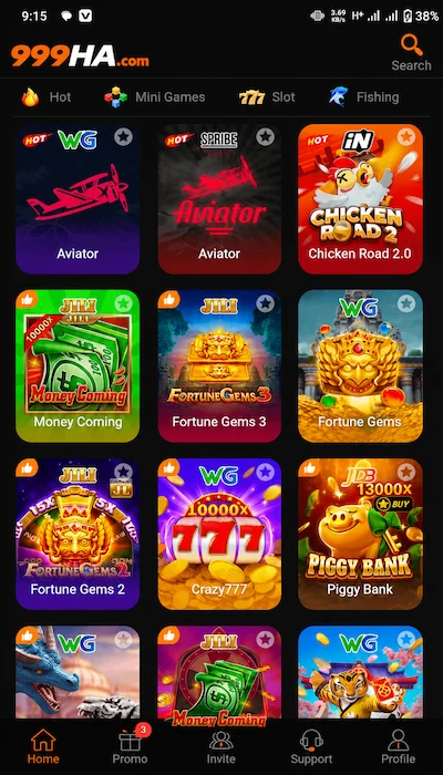999ha game dashboard image