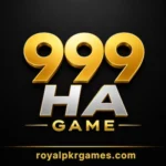 999ha game logo image