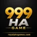 999ha game logo image