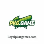 pk6 game logo image